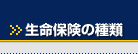 生命保険の種類